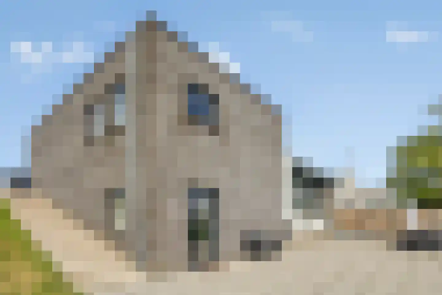 Graauwsedijk 29 Graauw thumbnail 36