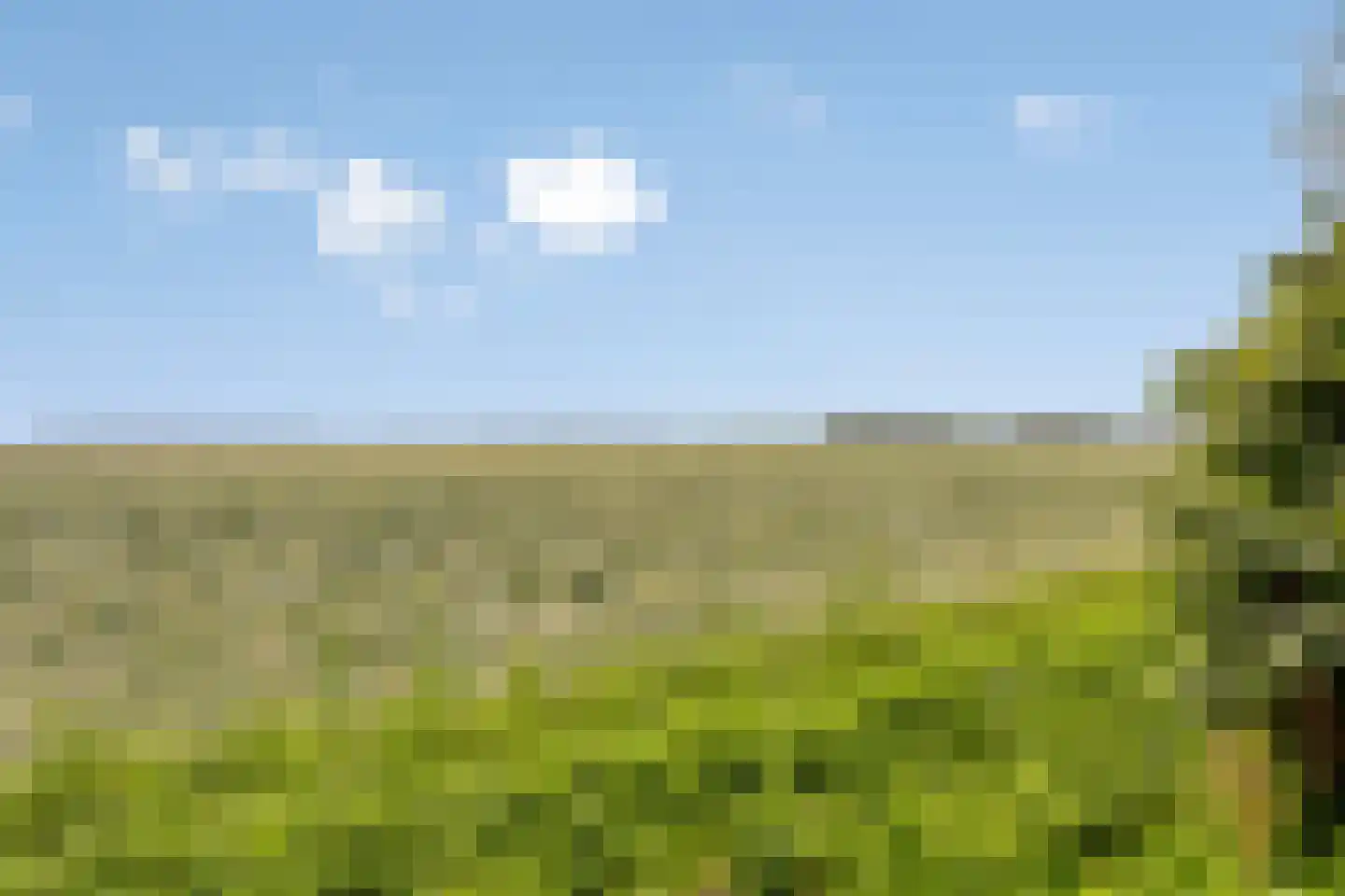 Graauwsedijk 29 Graauw thumbnail 37