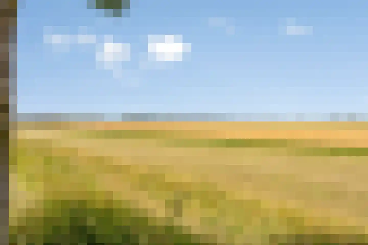 Graauwsedijk 29 Graauw thumbnail 38