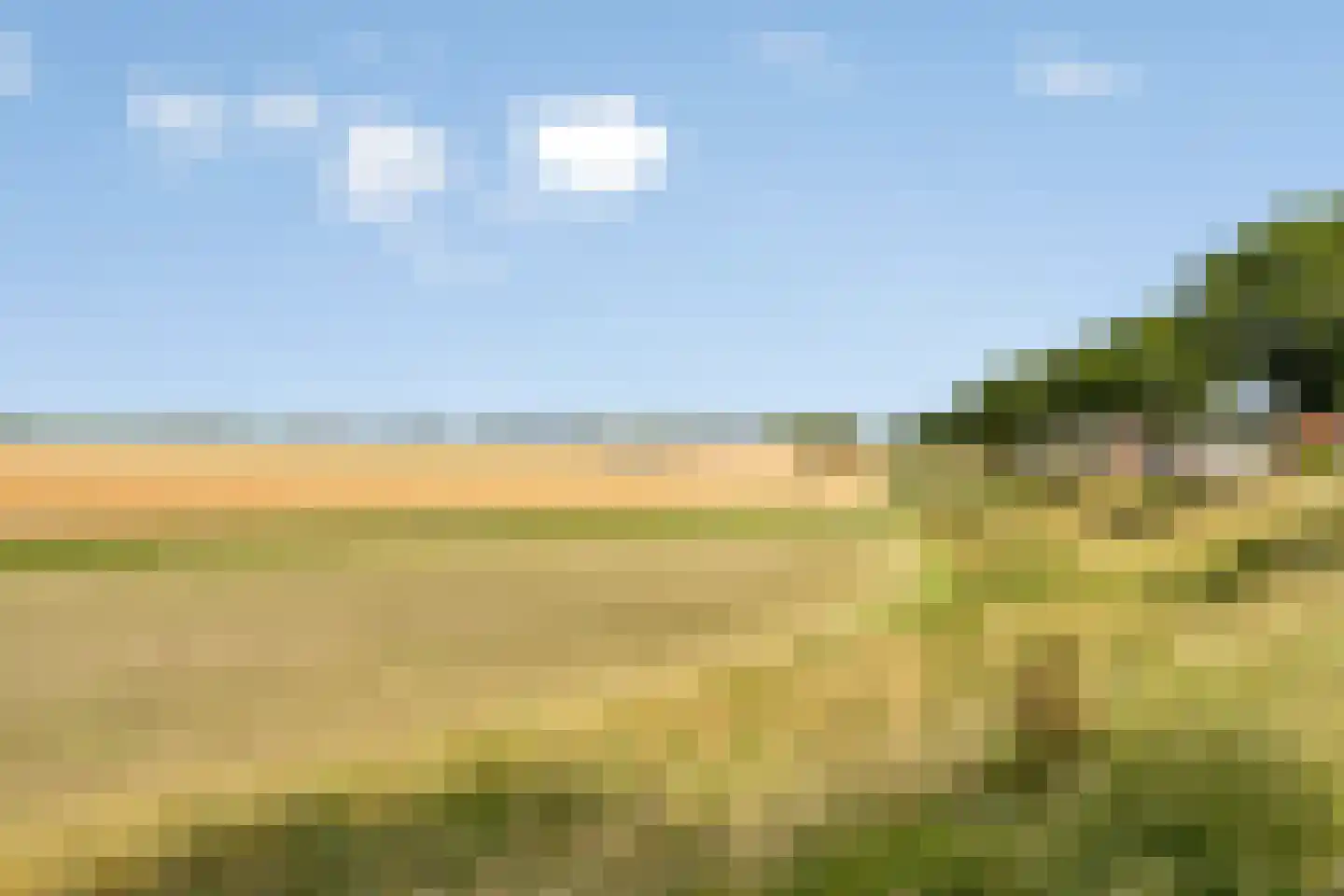 Graauwsedijk 29 Graauw thumbnail 39