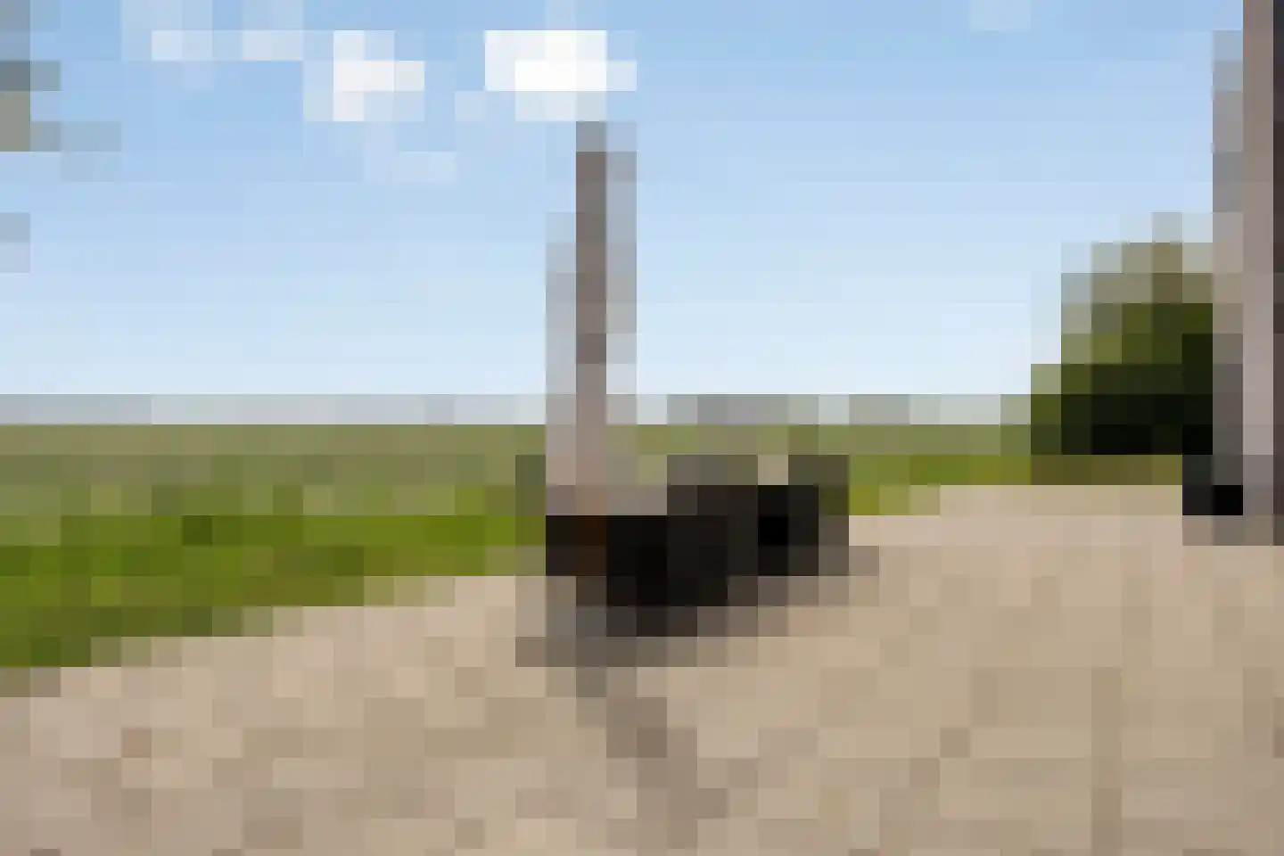 Graauwsedijk 29 Graauw thumbnail 4