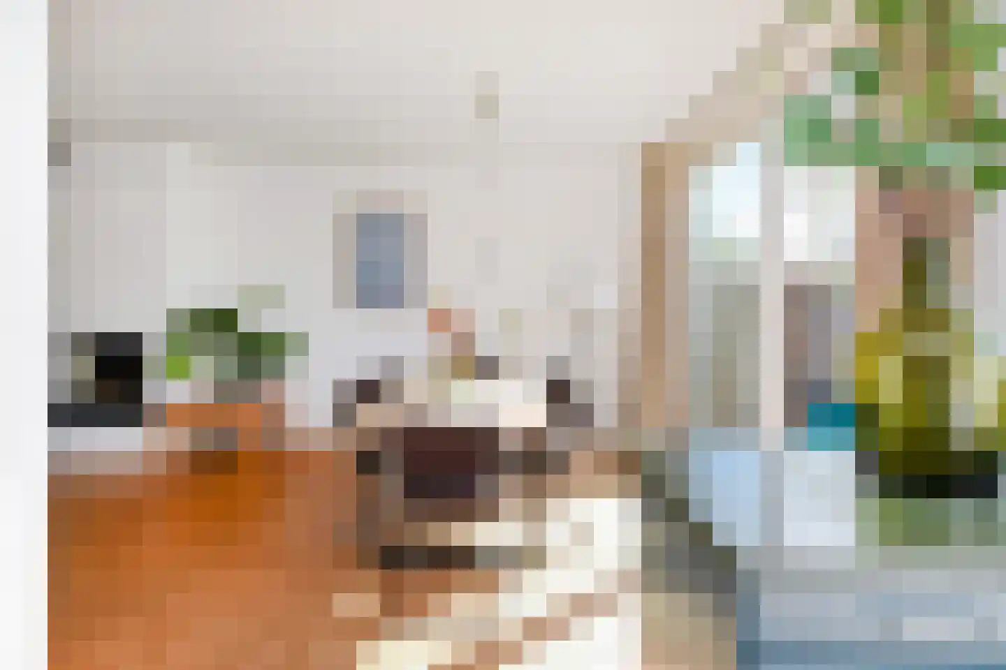 Grabijnhof 21 Delft thumbnail 15