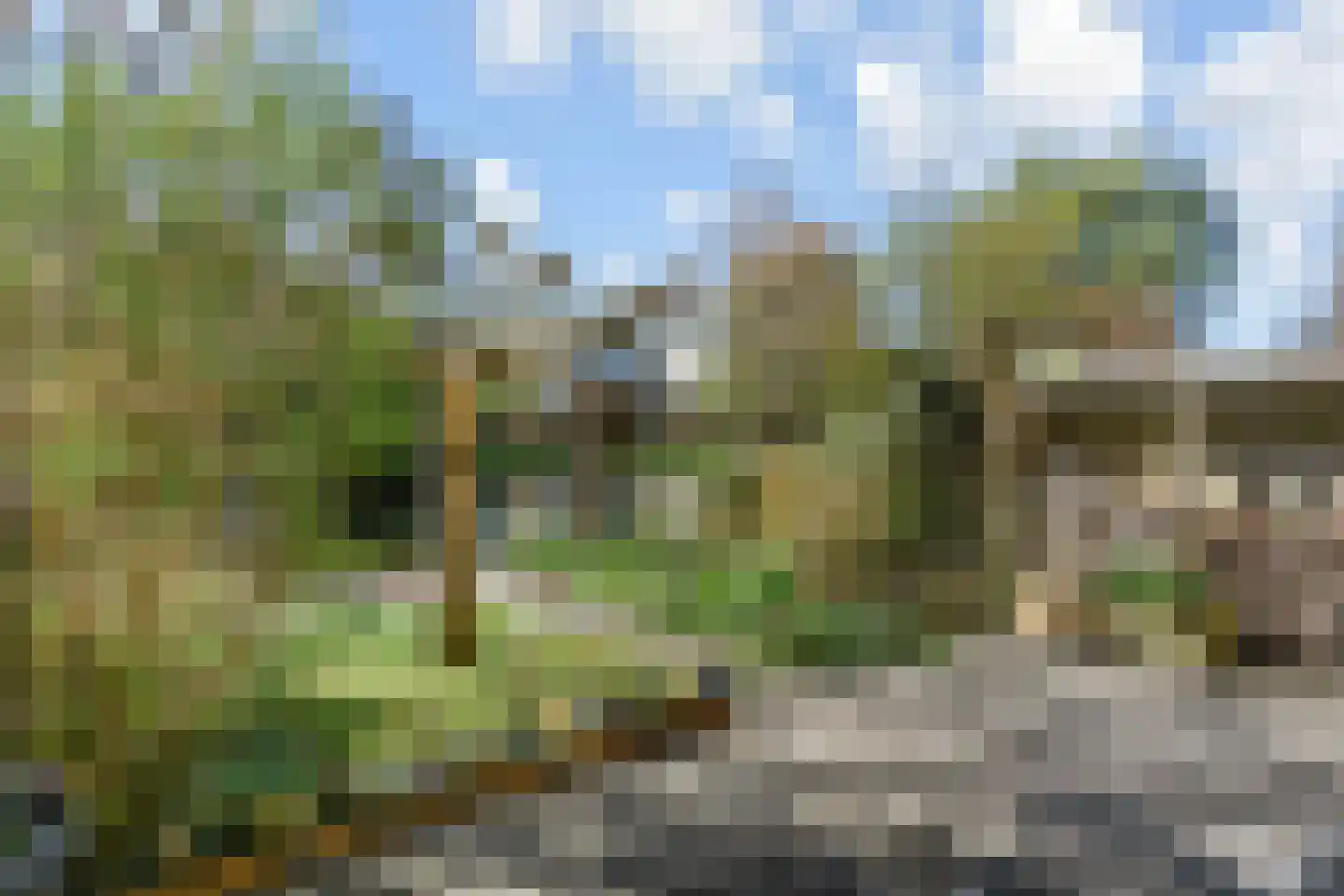 Grabijnhof 21 Delft thumbnail 5