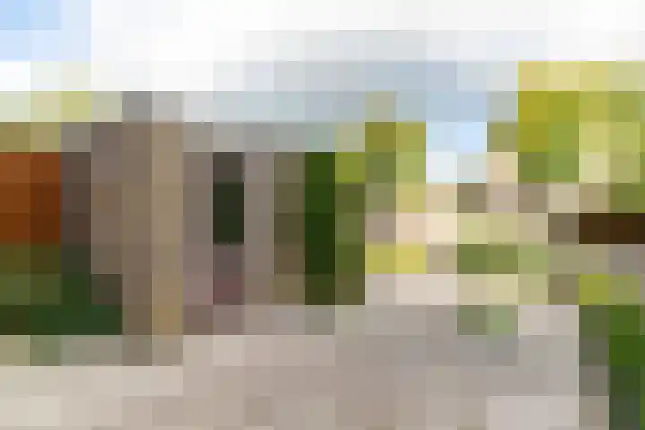 Grabijnhof 25 Delft thumbnail 6