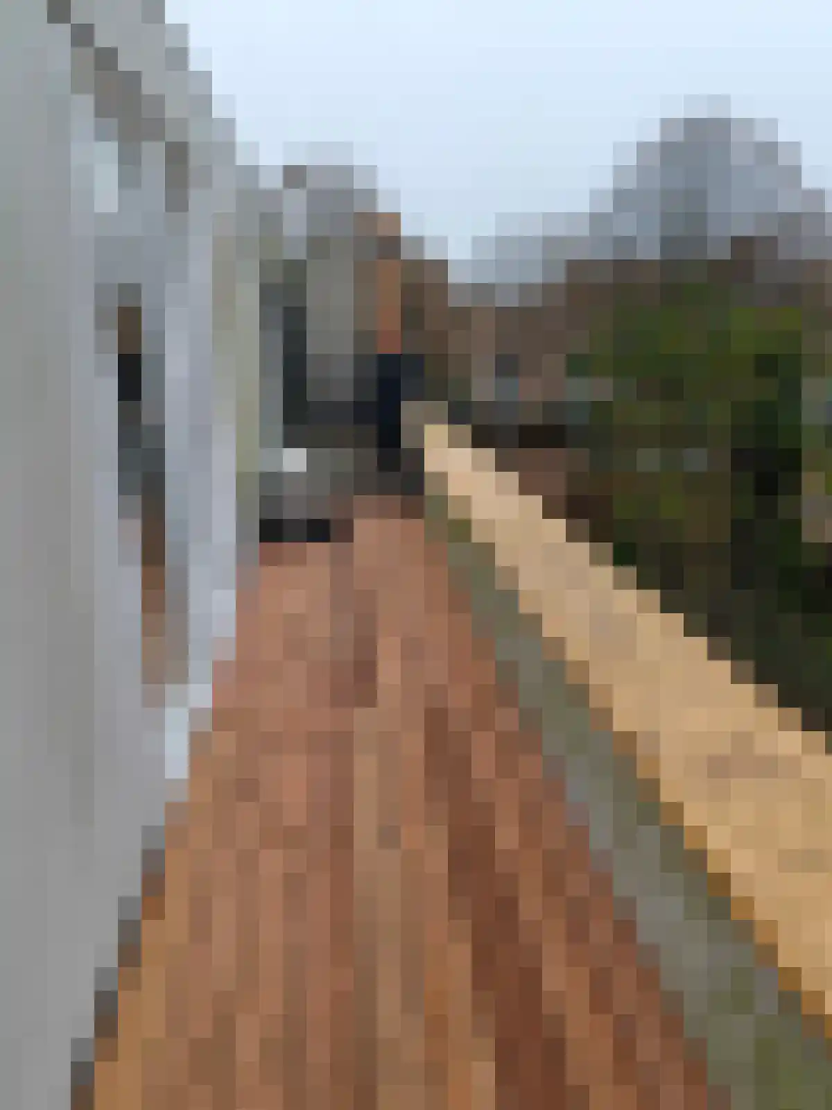 Grace Kellystraat 5 Almere thumbnail 8