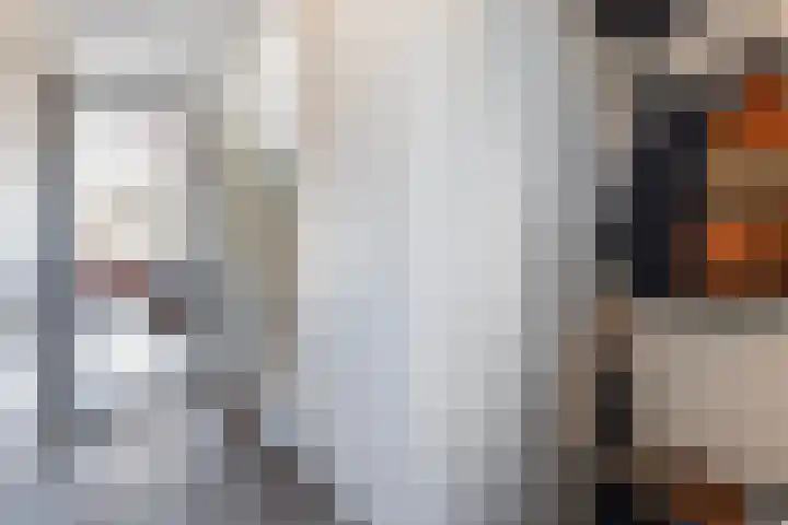 Gracht 17 Rijssen thumbnail 11