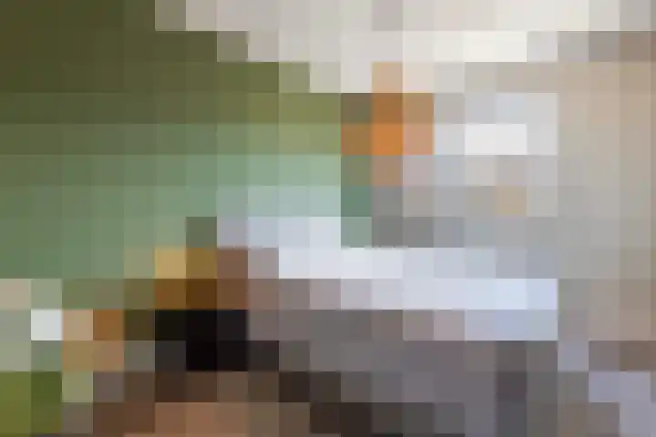 Gracht 17 Rijssen thumbnail 16