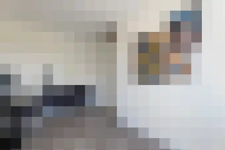 Gracht 17 Rijssen thumbnail 19