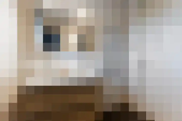 Gracht 17 Rijssen thumbnail 21