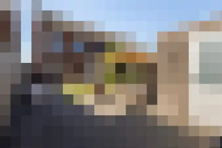 Gracht 17 Rijssen thumbnail 28