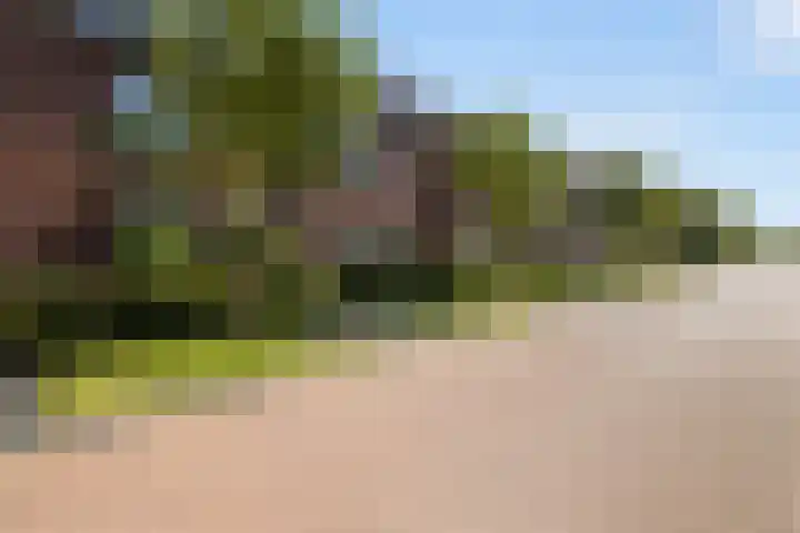 Gracht 17 Rijssen thumbnail 4