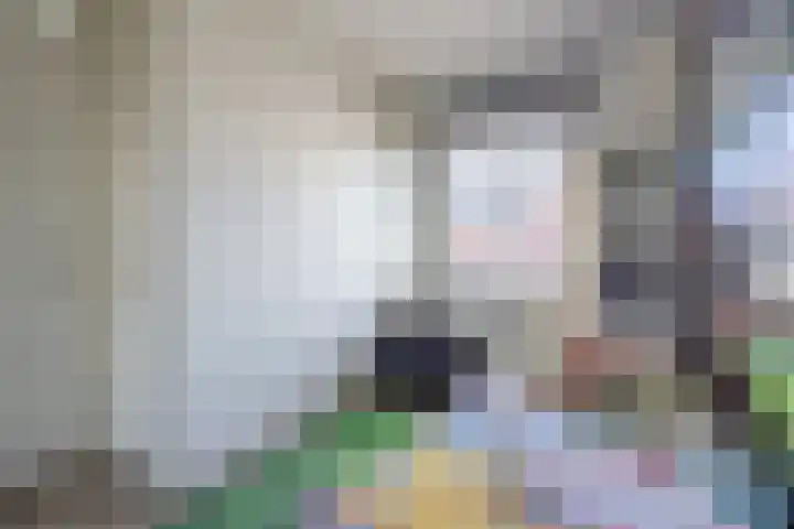Gracht 19 Rijssen thumbnail 28