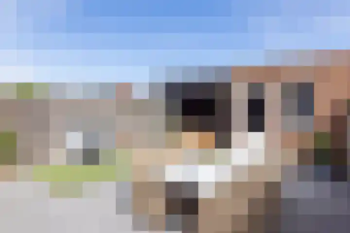 Gracht 19 Rijssen thumbnail 46
