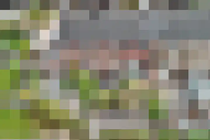 Gracht 25 Rijssen thumbnail 26