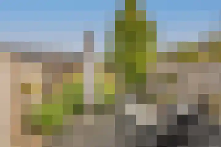 Gracht 25 Rijssen thumbnail 27