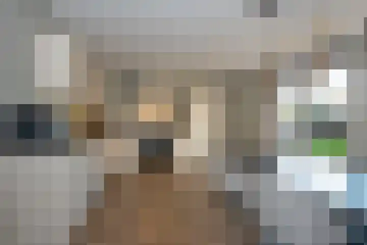 Gracht 37 Rijssen thumbnail 8