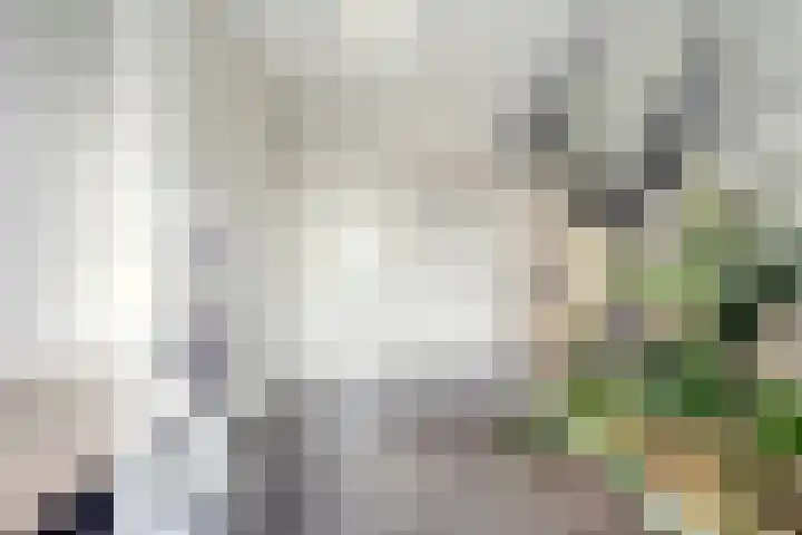 Gracht 4 Rijssen thumbnail 33