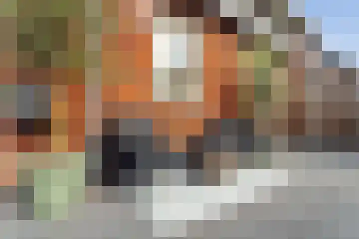 Gracht 4 Rijssen thumbnail 48