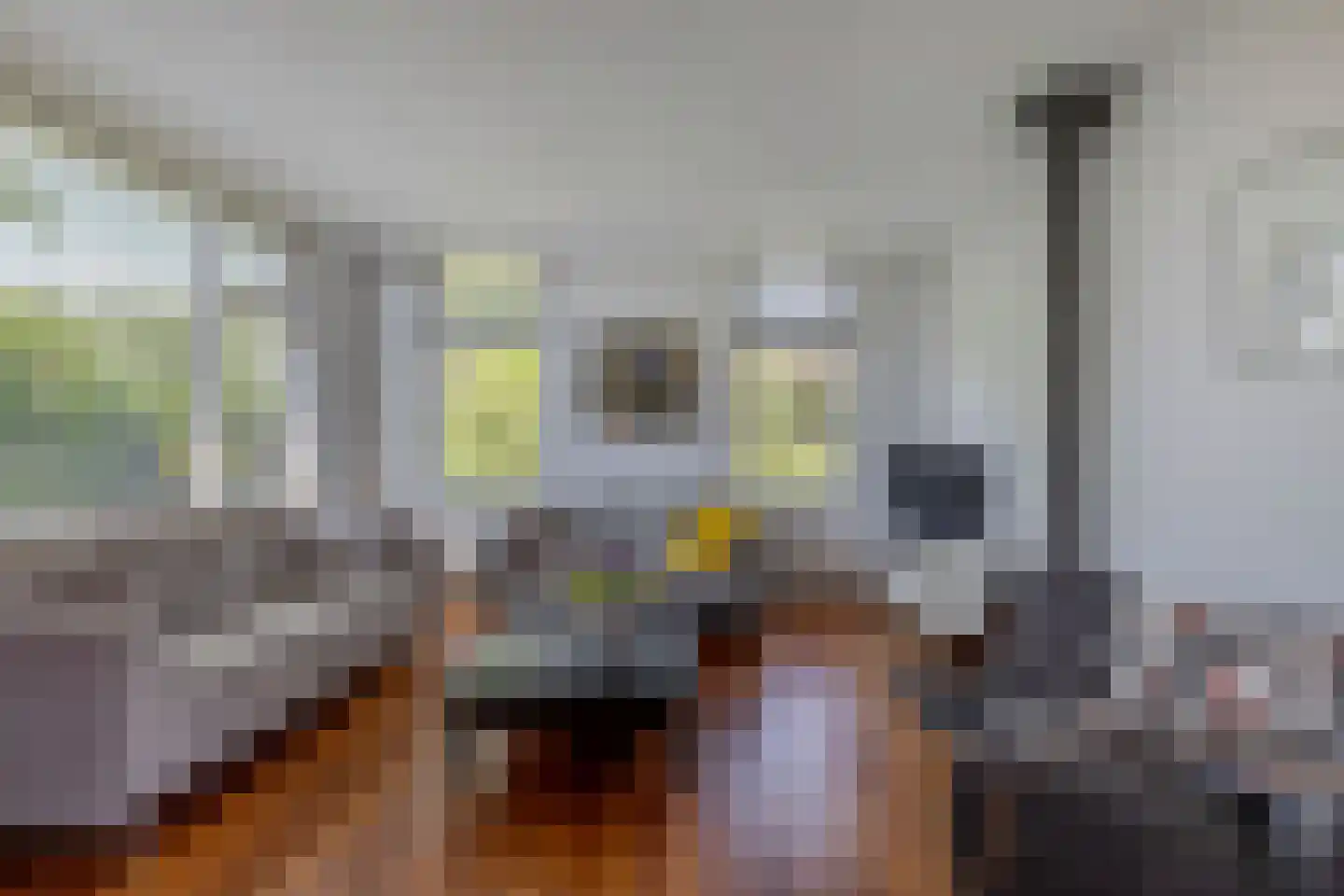 Gracht 5 Munnekeburen thumbnail 10