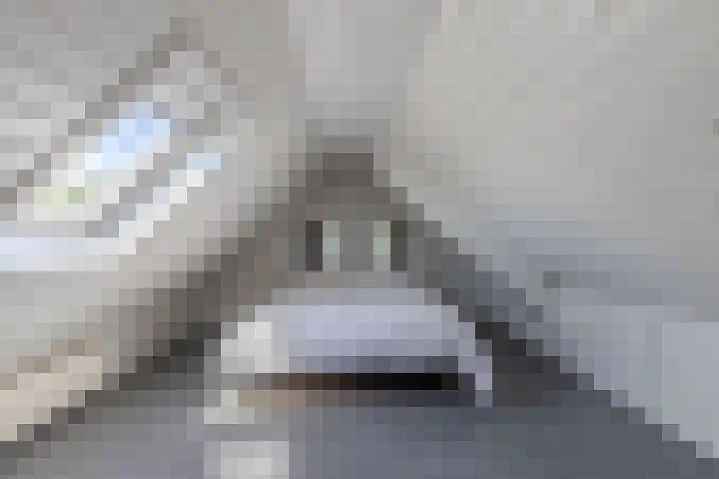 Gracht 5 Munnekeburen thumbnail 20