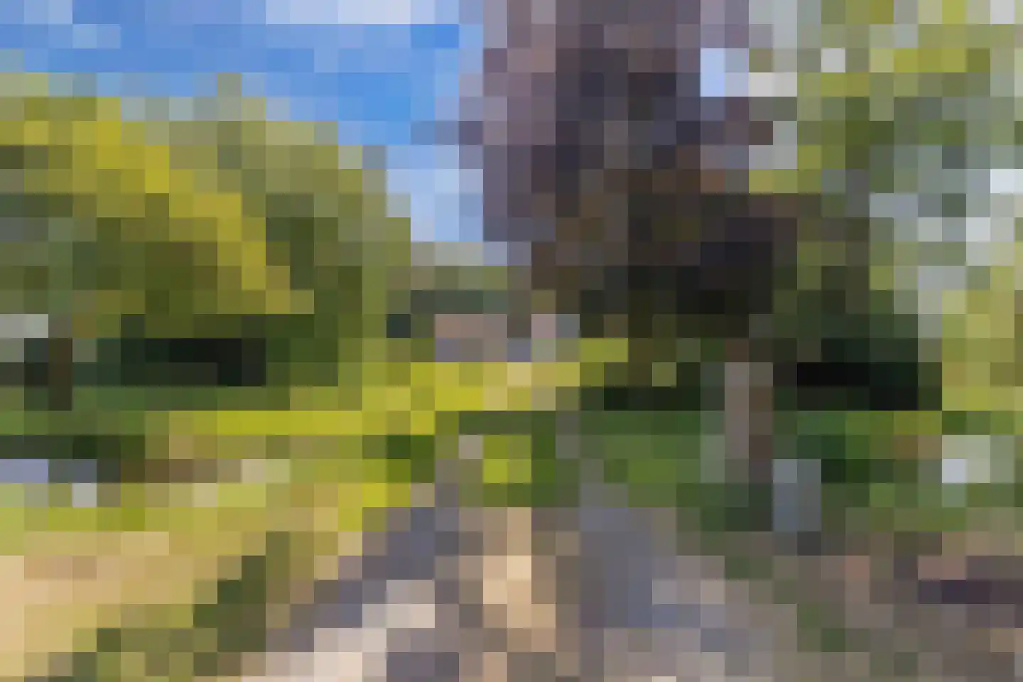 Gracht 5 Munnekeburen thumbnail 30