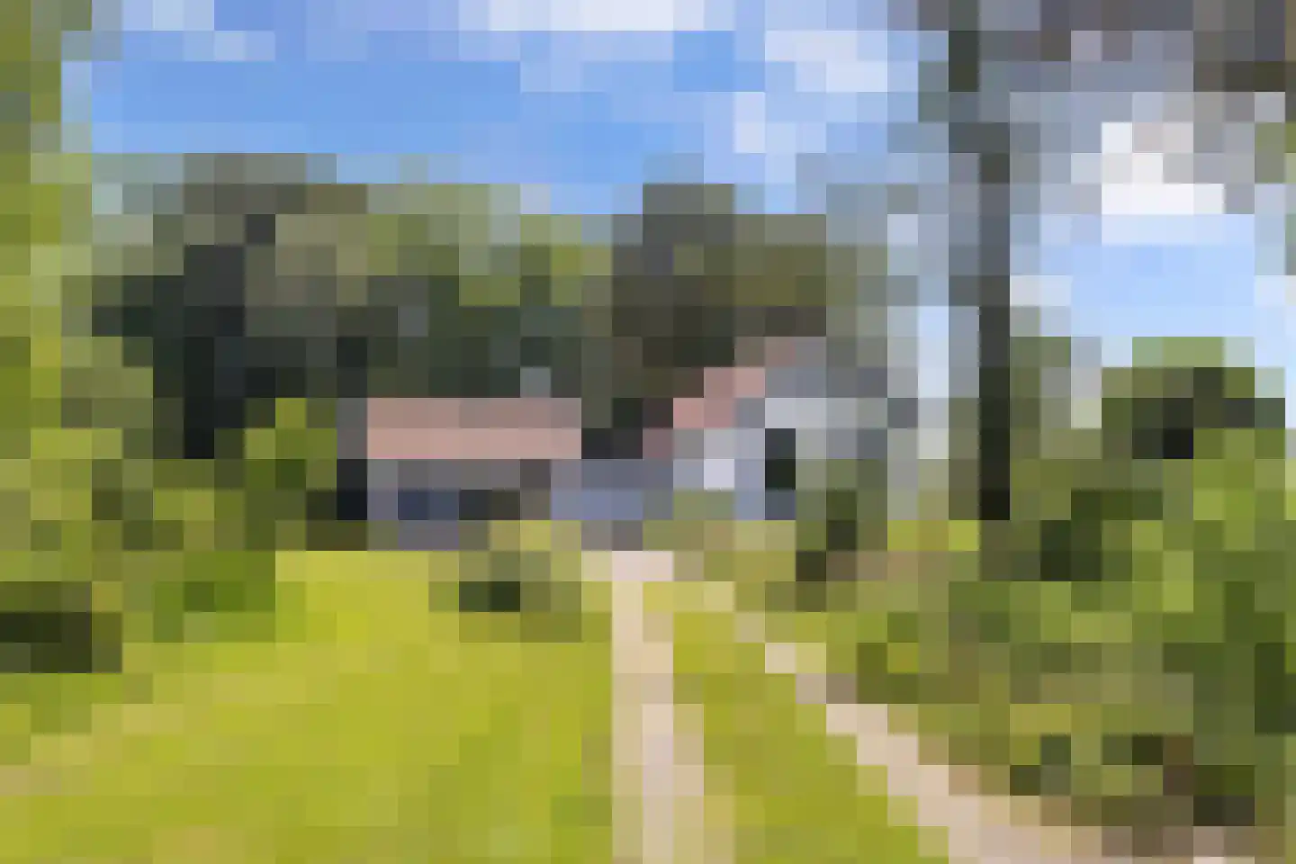 Gracht 5 Munnekeburen thumbnail 31