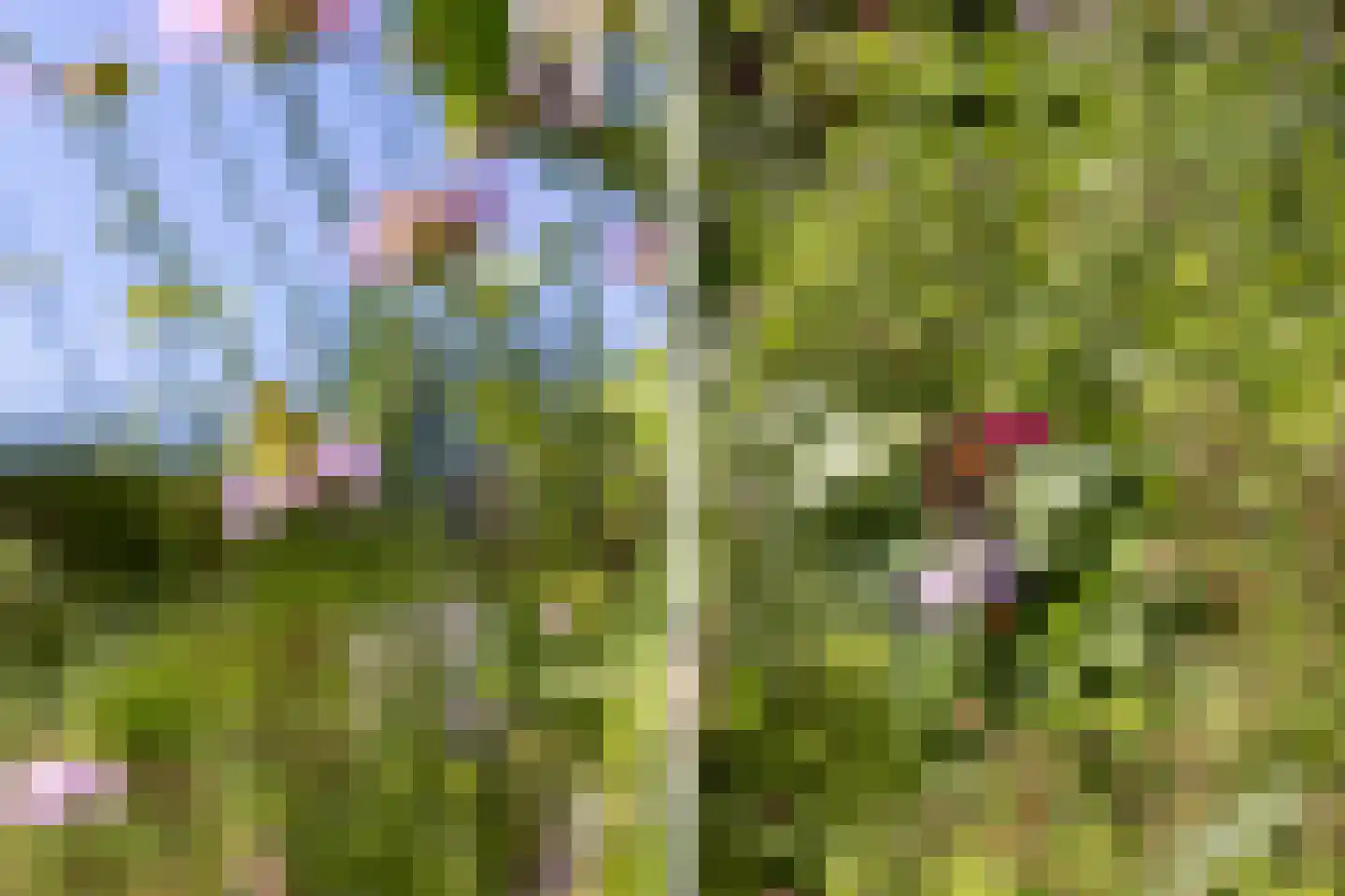 Gracht 5 Munnekeburen thumbnail 33