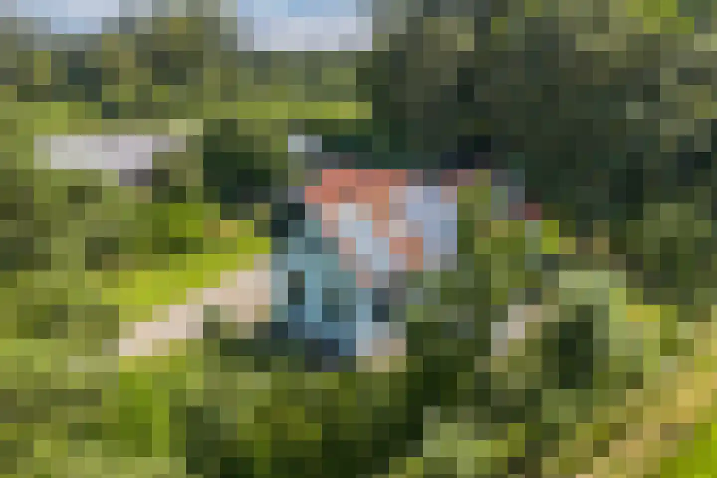 Gracht 5 Munnekeburen thumbnail 36