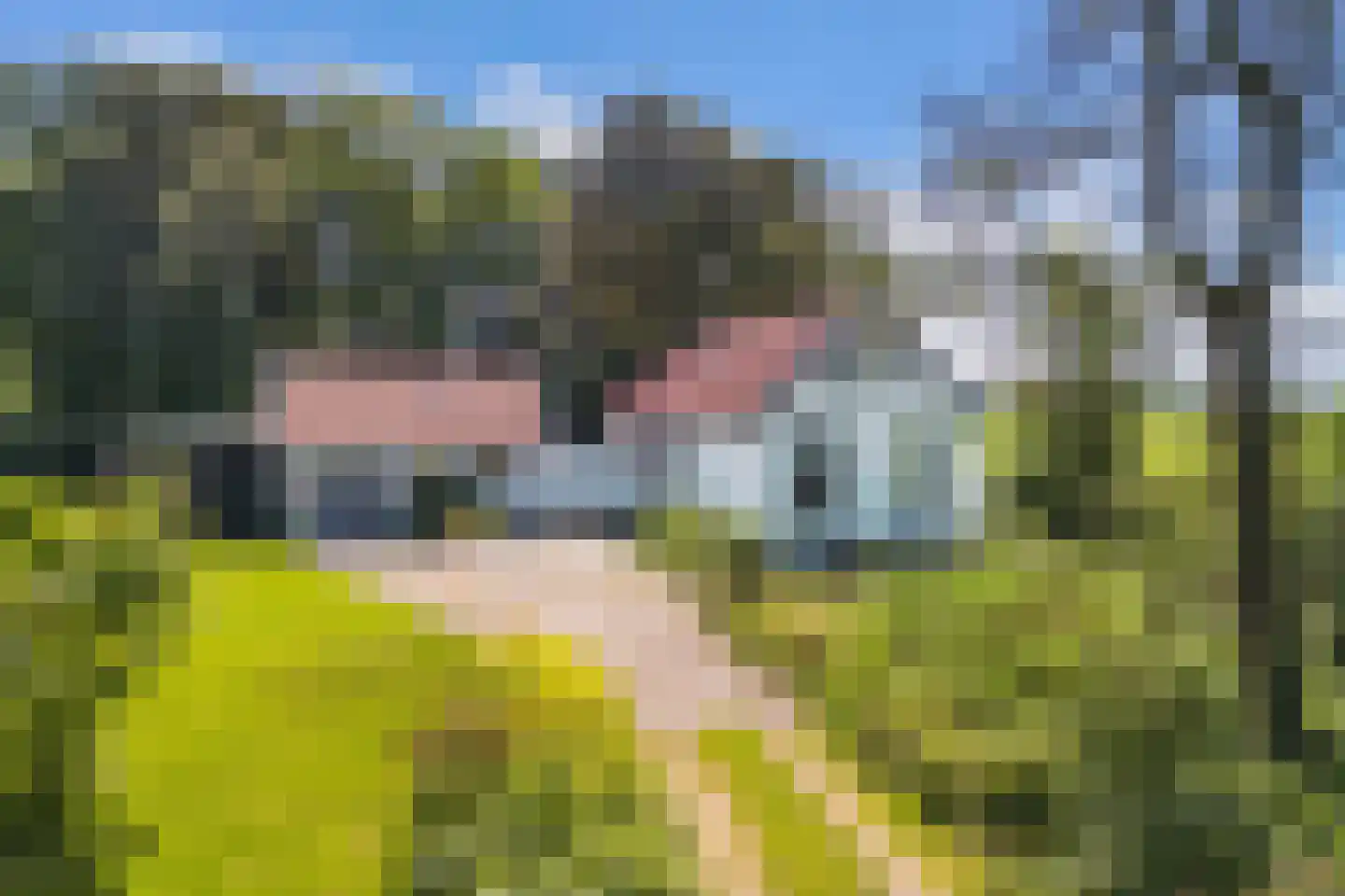 Gracht 5 Munnekeburen thumbnail 37