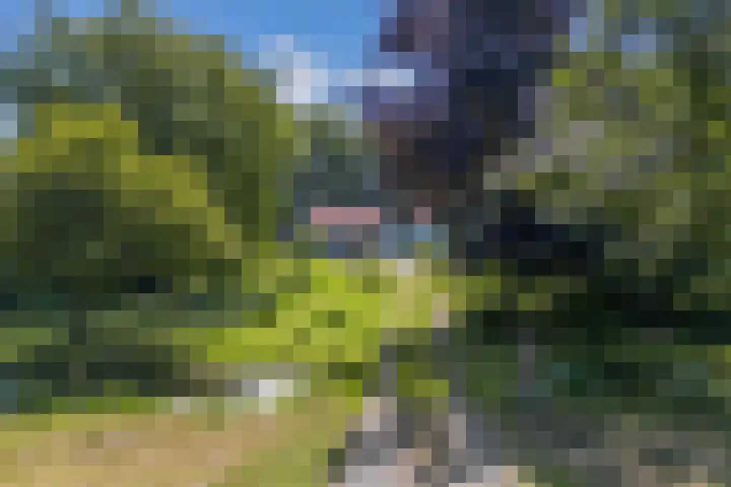 Gracht 5 Munnekeburen thumbnail 38