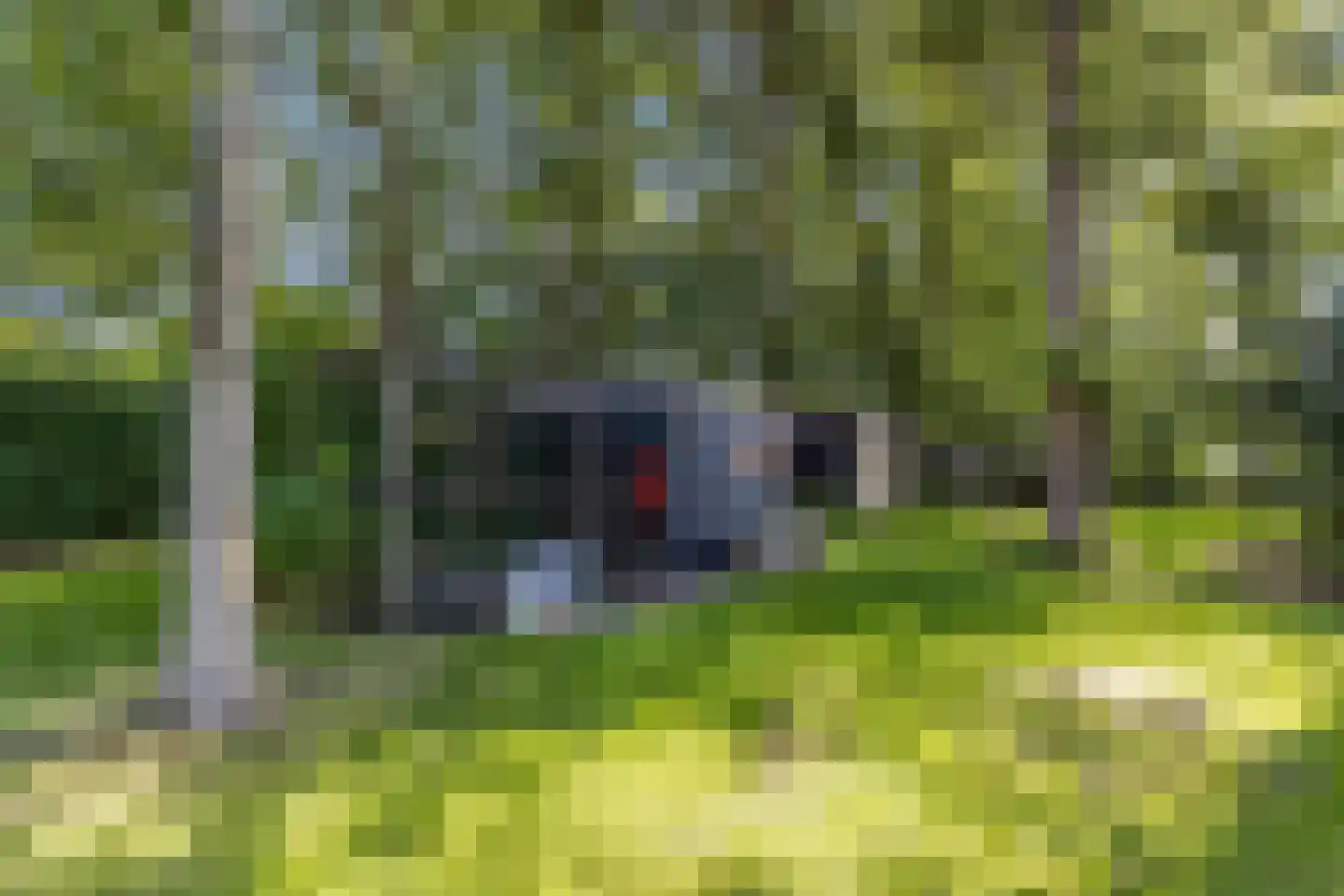 Gracht 5 Munnekeburen thumbnail 51