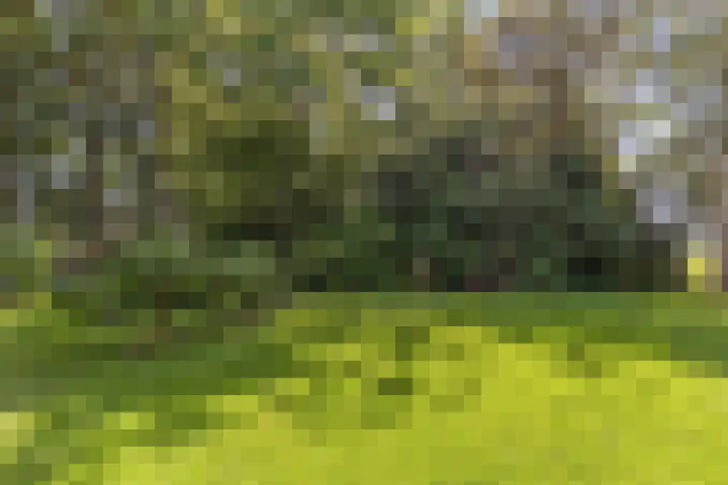Gracht 5 Munnekeburen thumbnail 56