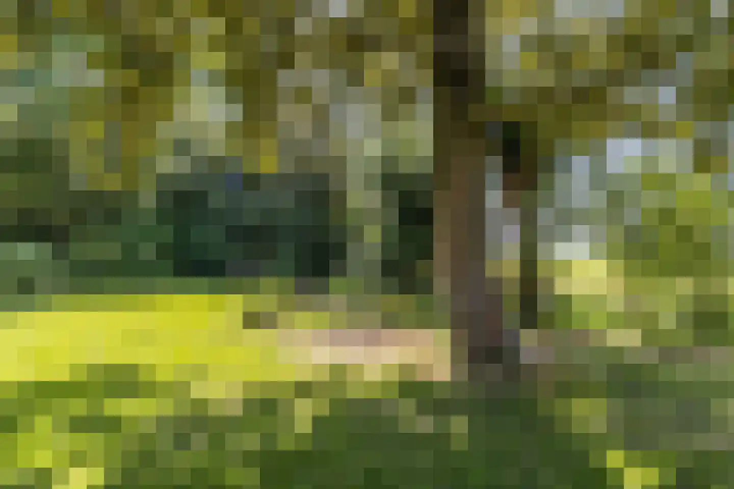 Gracht 5 Munnekeburen thumbnail 57