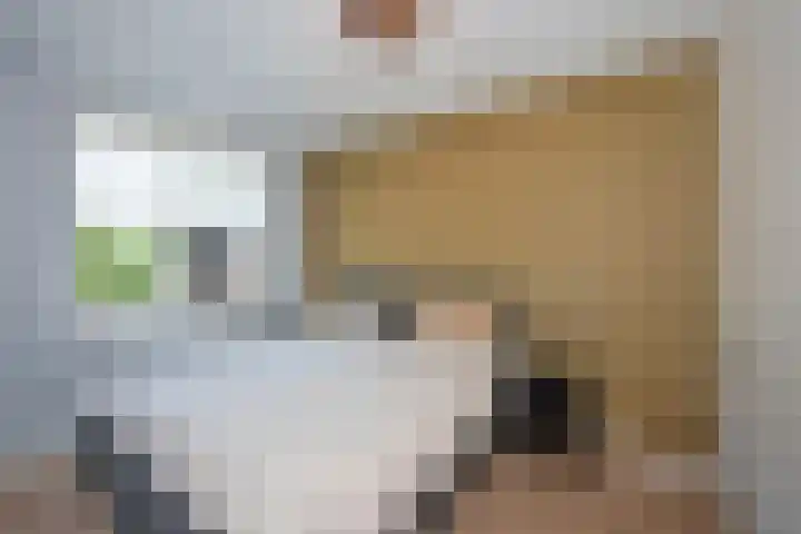 Gracht 51 Rijssen thumbnail 14