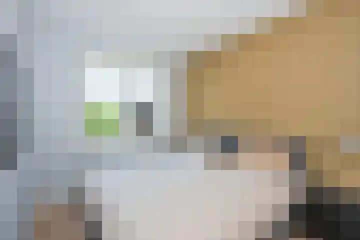 Gracht 51 Rijssen thumbnail 15