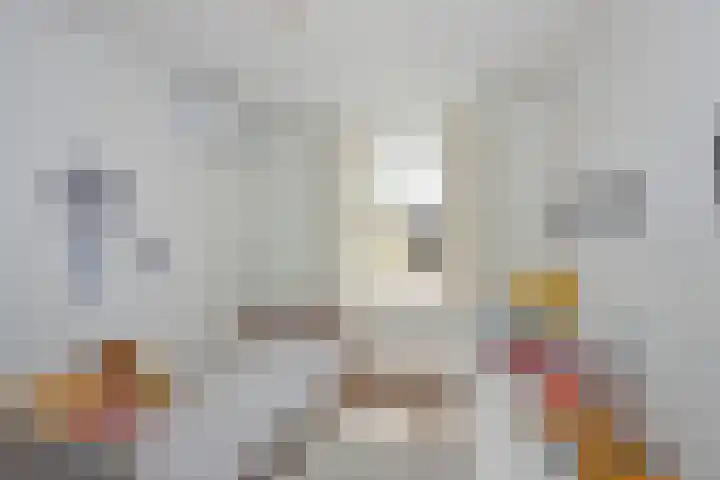 Gracht 51 Rijssen thumbnail 20