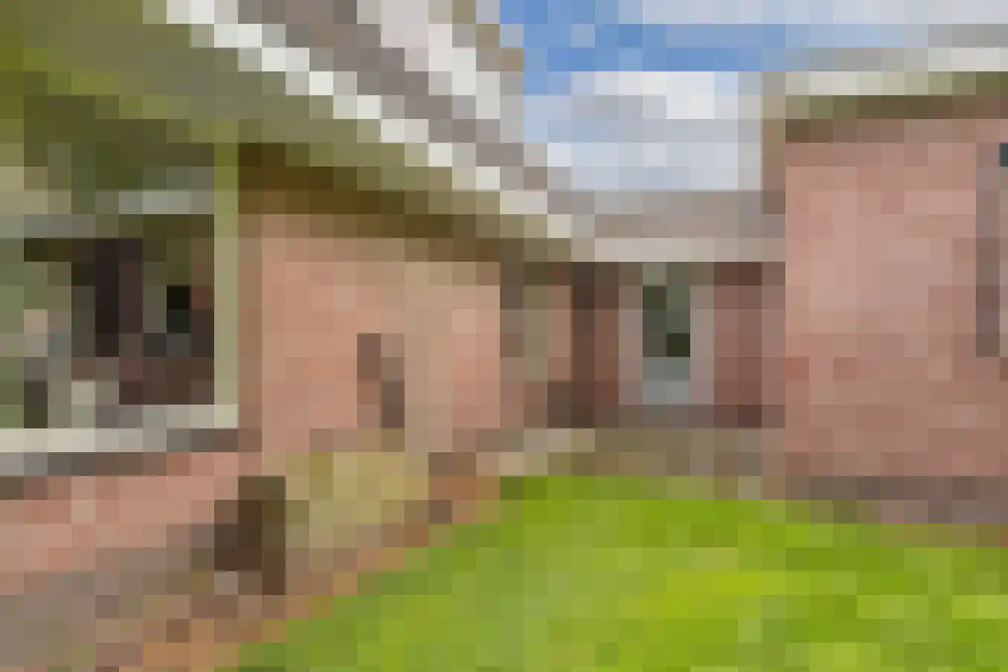 Gracht 62 Munnekeburen thumbnail 56