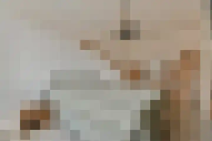 Grachtengordel 4 Middenbeemster thumbnail 22