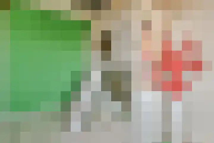 Grachtengordel 4 Middenbeemster thumbnail 24