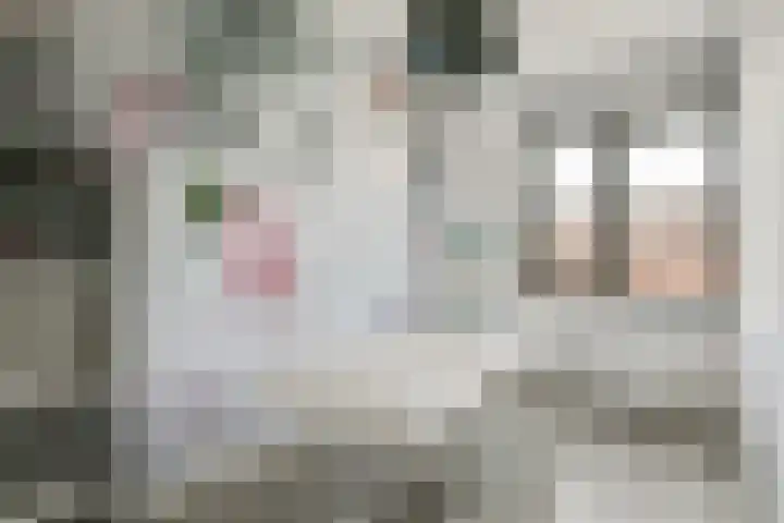 Grachtengordel 4 Middenbeemster thumbnail 25