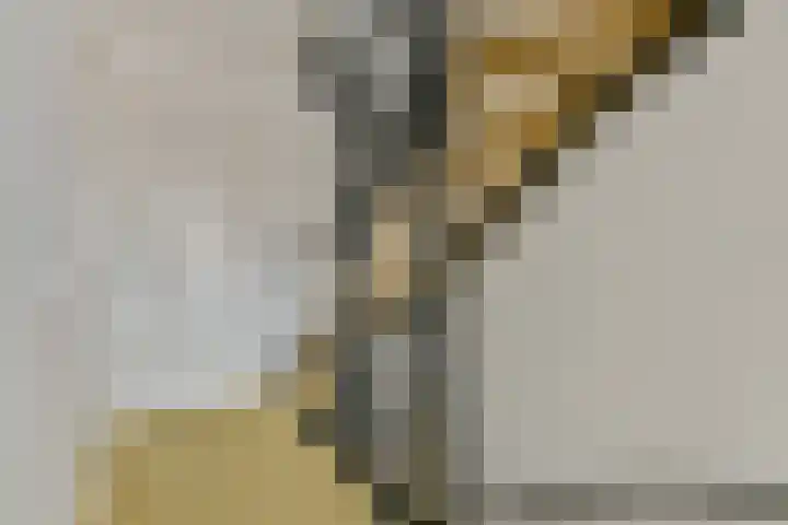 Grachtengordel 4 Middenbeemster thumbnail 27