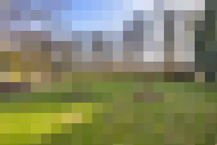 Grachtlaan 22 Noordbroek thumbnail 32