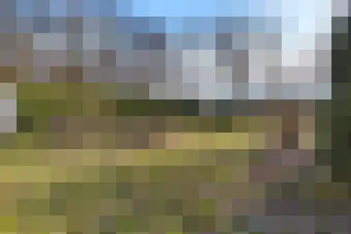 Grachtlaan 22 Noordbroek thumbnail 34