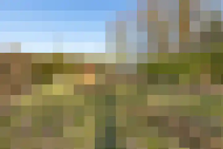 Grachtlaan 22 Noordbroek thumbnail 35