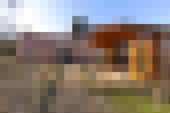 Grachtlaan 22 Noordbroek thumbnail 4