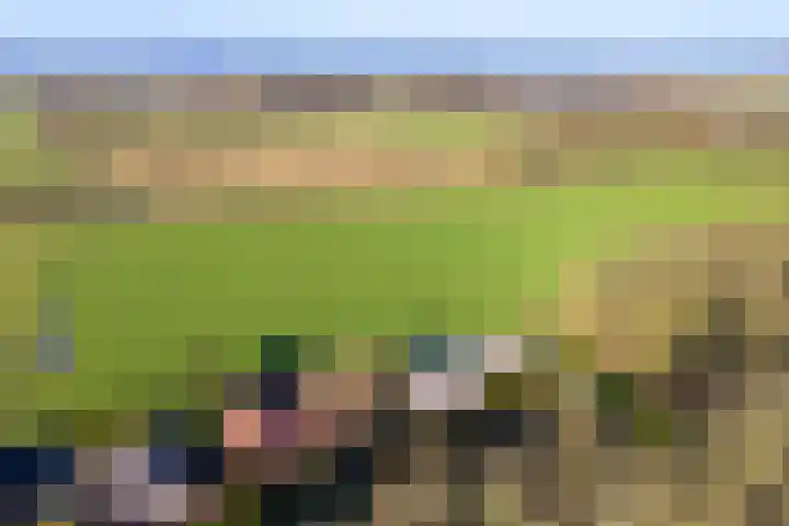 Grachtlaan 22 Noordbroek thumbnail 42