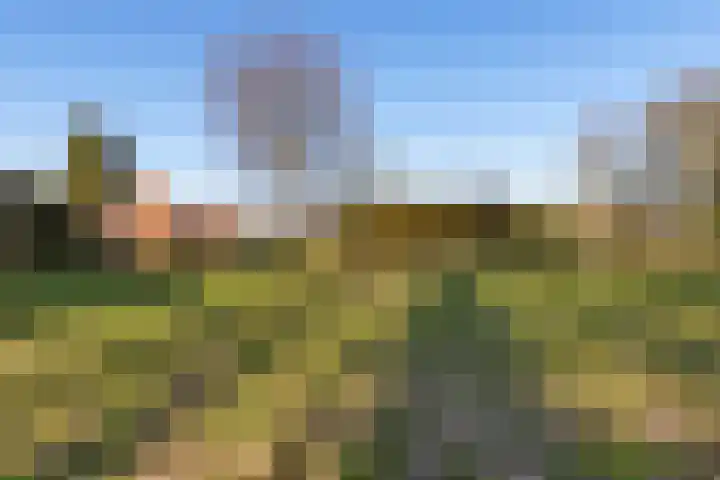 Grachtlaan 22 Noordbroek thumbnail 43