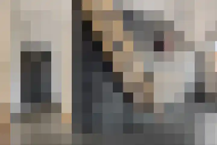 Grachtlaan 22 Noordbroek thumbnail 7