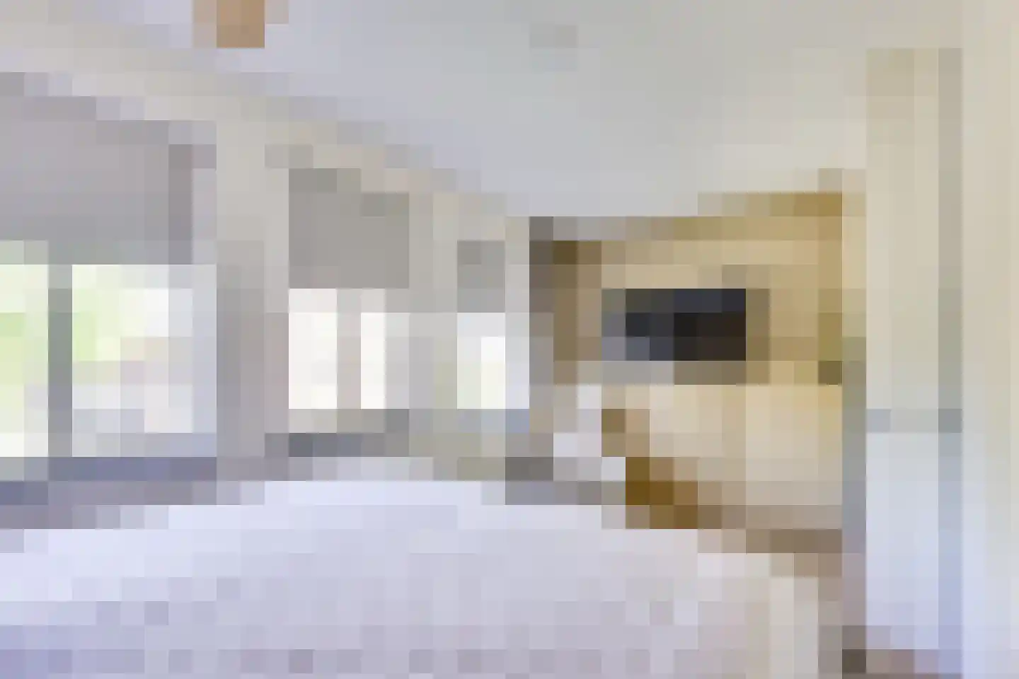 Grachtmuur 17 Houten thumbnail 31