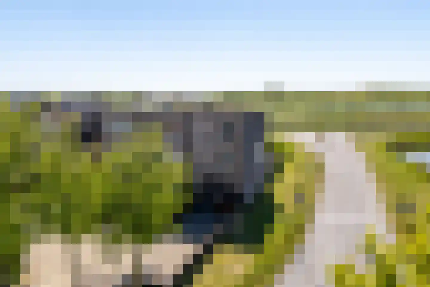Grachtmuur 17 Houten thumbnail 63